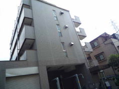 �������g�������������w MS 1R